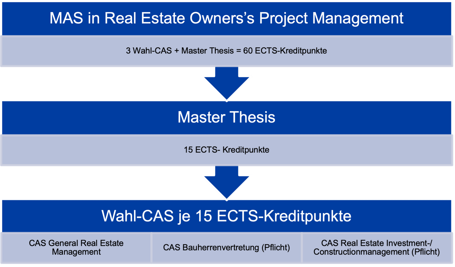 MAS Real Estate Owner’s Project Management HWZ