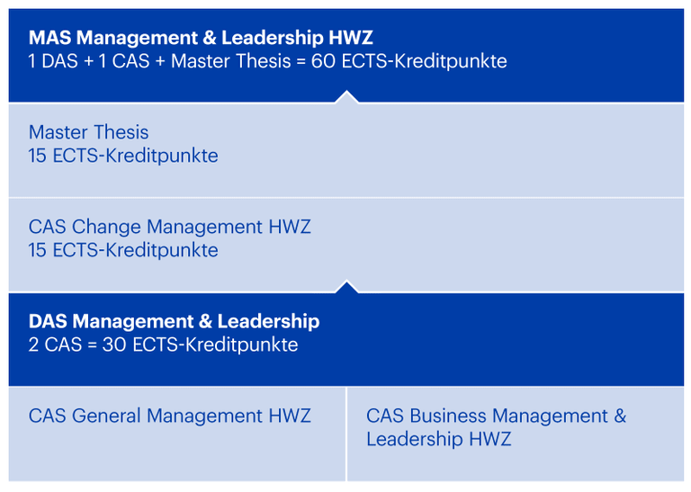 Modulaufbau MAS Management & Leadership