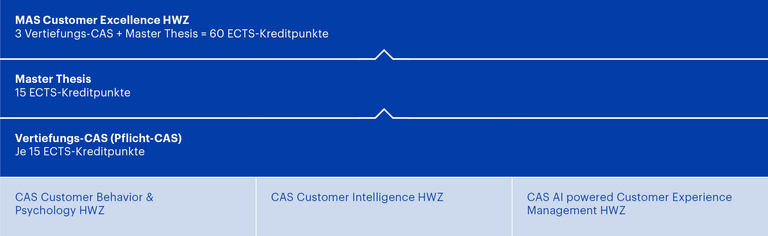 Grafik MAS Customer Excellence HWZ