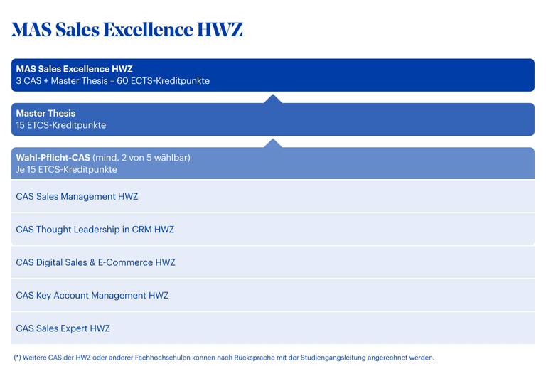 Grafik MAS Sales Excellence HWZ