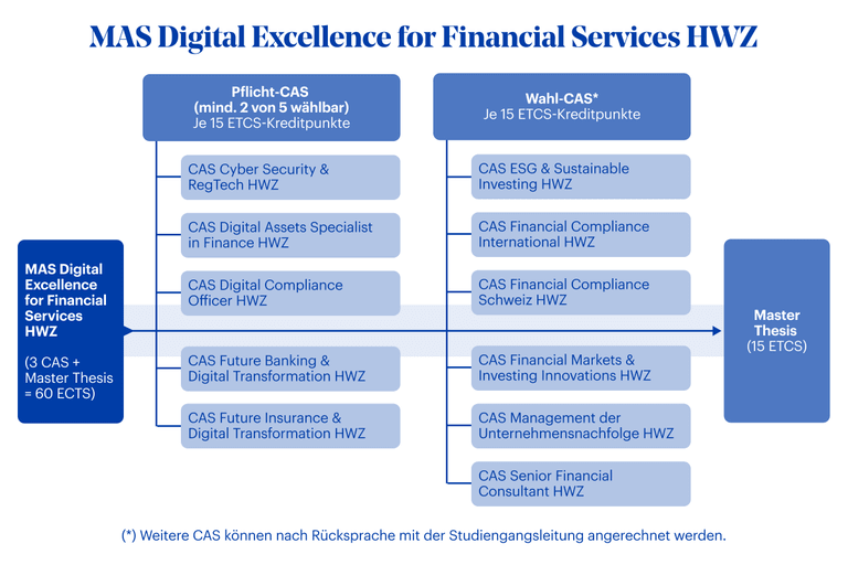 Grafik MAS Digital Excellence for Financial Services HWZ