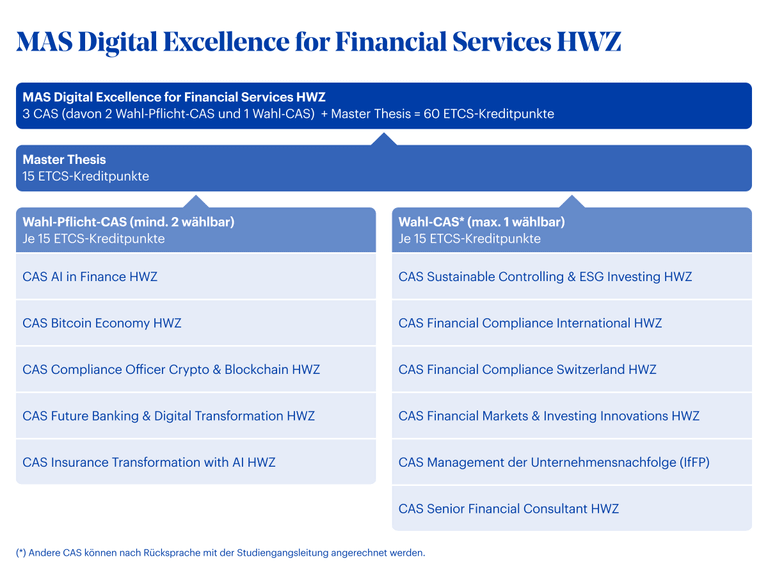 Grafik MAS Digital Excellence for Financial Services HWZ