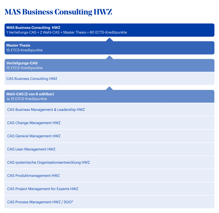 MAS Business Consulting HWZ