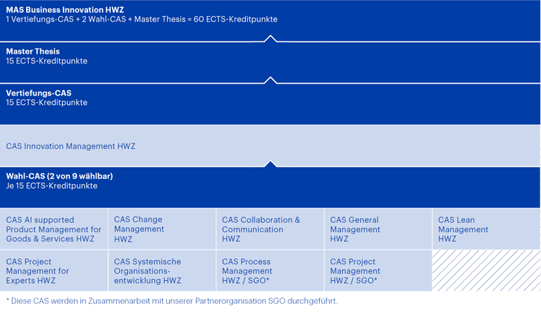 Grafik Modulaufbau MAS Business Innovation HWZ