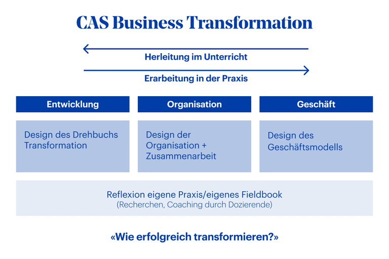 Grafik CAS Business Transformation HWZ