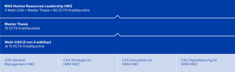 Grafik MAS Human Resources Leadership HWZ