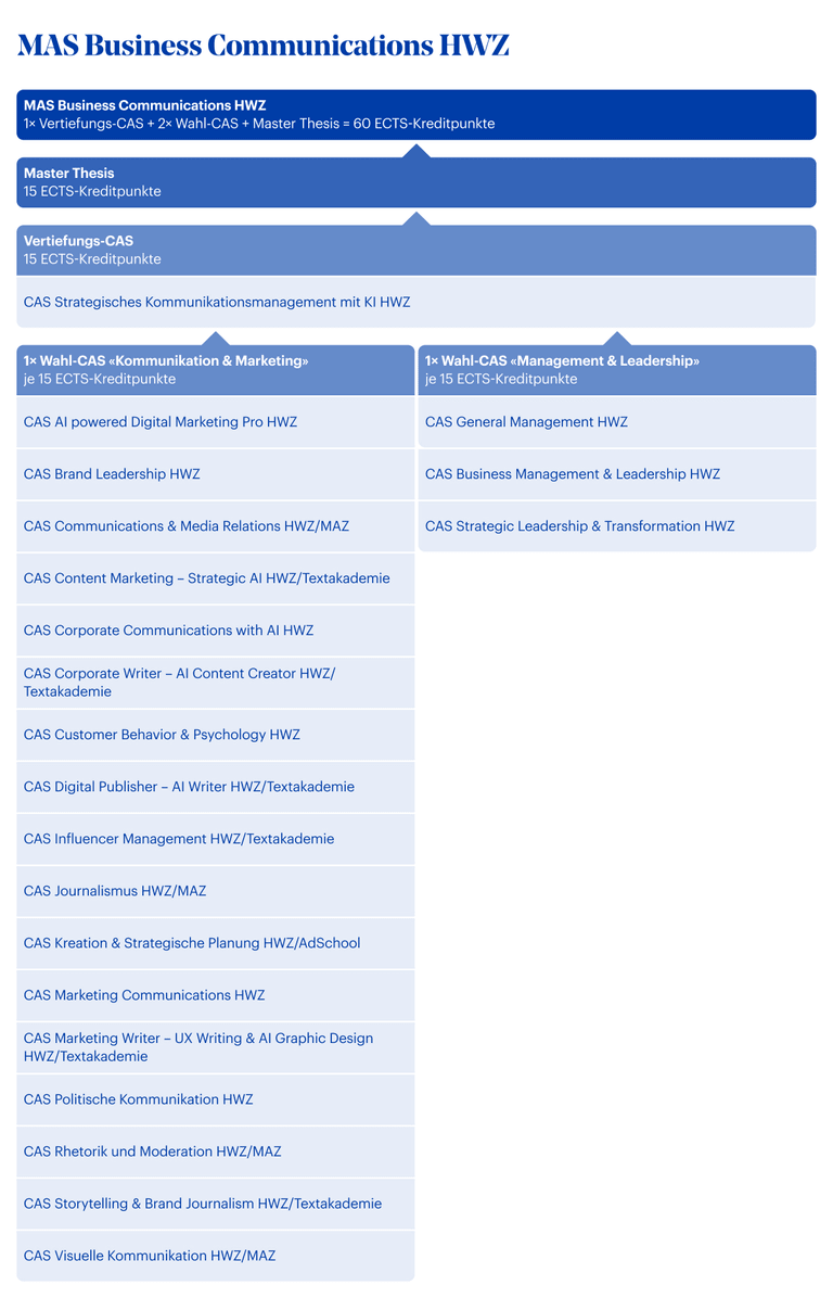 Grafik MAS Business Communications HWZ