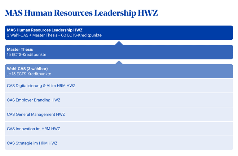 Grafik MAS Human Resources Leadership HWZ