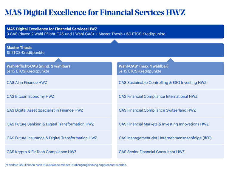 Grafik MAS Digital Excellence for Financial Services HWZ