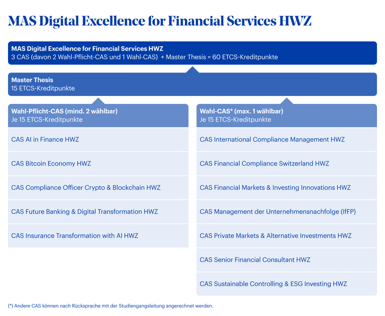 Grafik MAS Digital Excellence for Financial Services HWZ