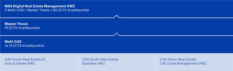 Grafik MAS Digital Real Estate Management HWZ