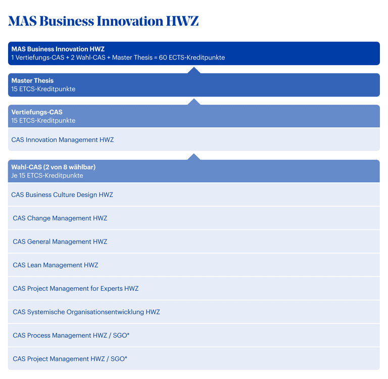 MAS Business Innovation HWZ