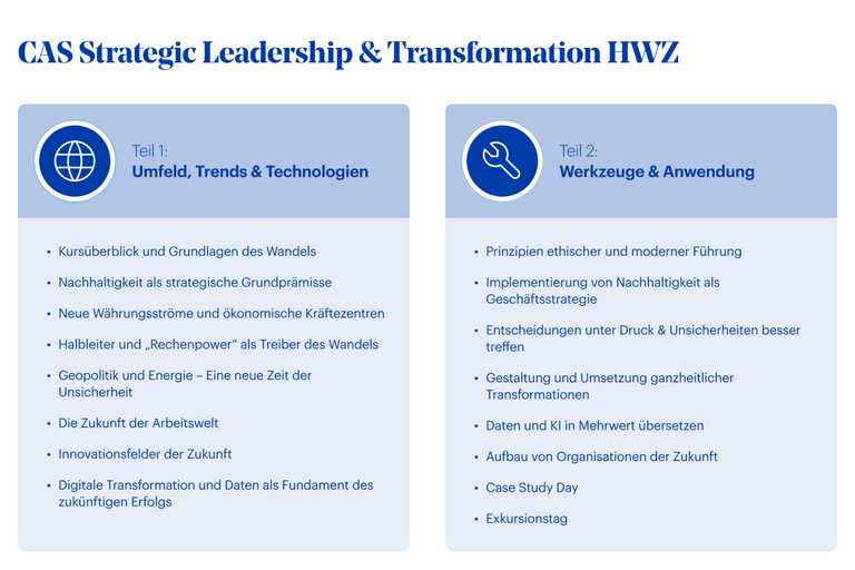 Grafik Cas​ Strategic Leadership Transformation 2025 02 26