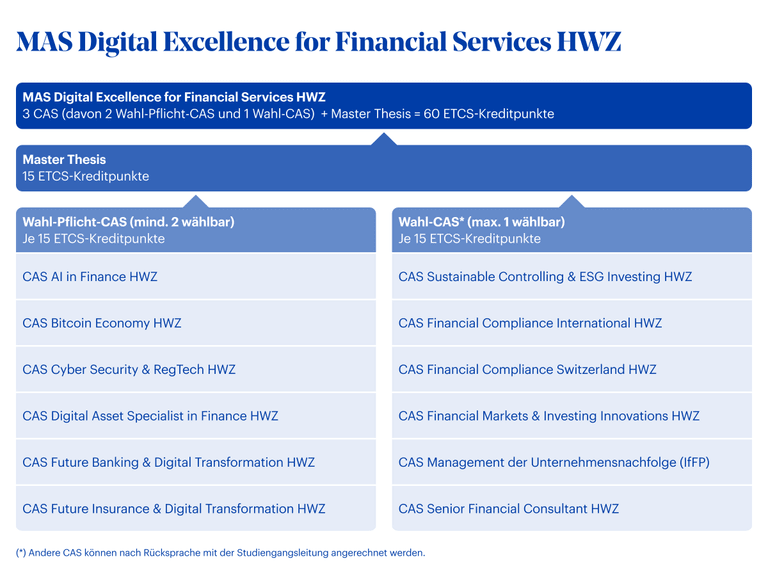 Grafik MAS Digital Excellence for Financial Services HWZ