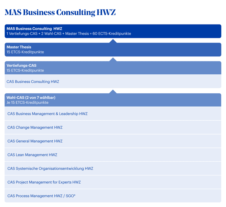 MAS Business Consulting HWZ