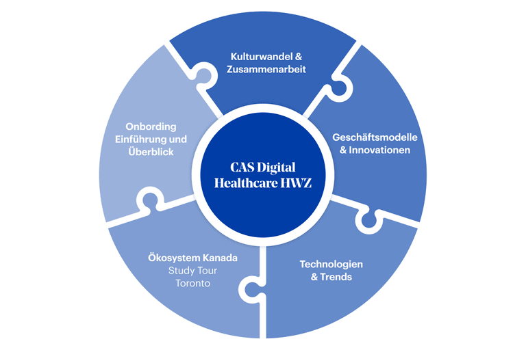 Grafik CAS Digital Healthcare HWZ