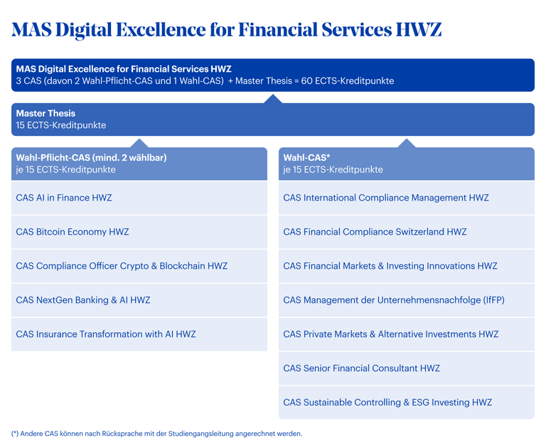 Grafik MAS Digital Excellence for Financial Services HWZ