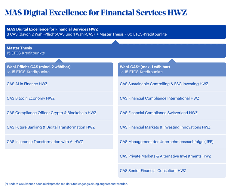 Grafik MAS Digital Excellence for Financial Services HWZ